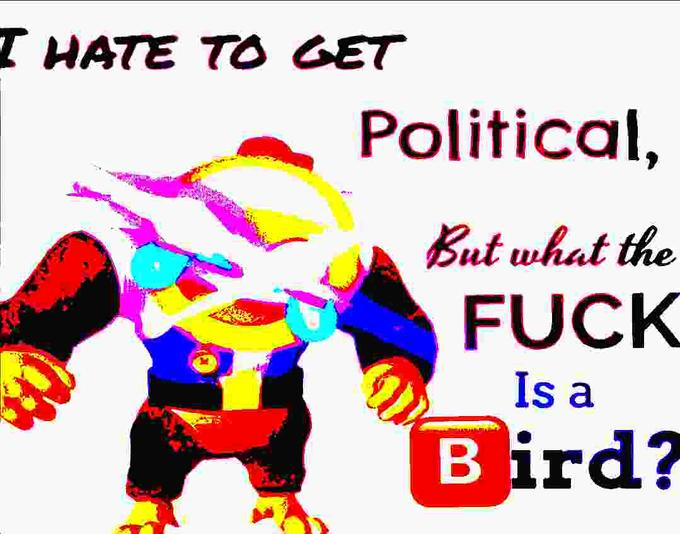 Birds Aren't Real movement imagery